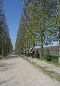 hitc_versailles3